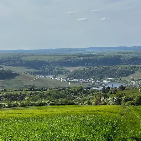 Διαμέρισμα Ferienwohnung Moselblick Nittel