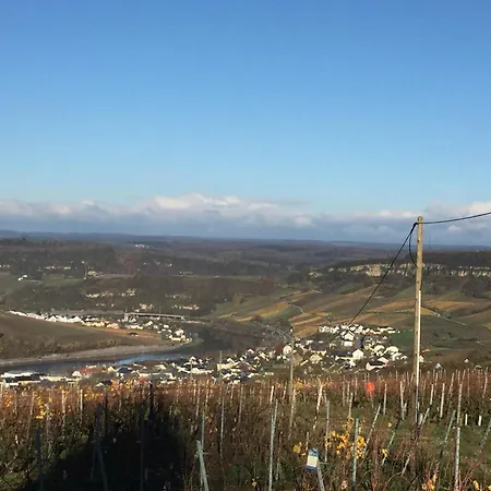 Διαμέρισμα Ferienwohnung Moselblick