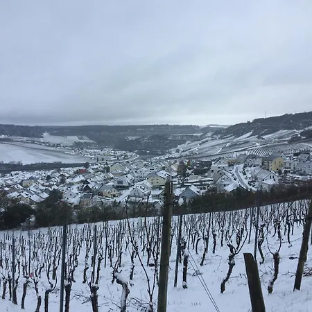 Ferienwohnung Moselblick Nittel